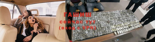 mdpv Бородино
