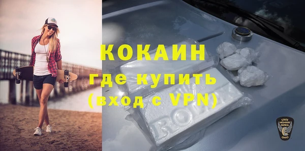 mdpv Бородино