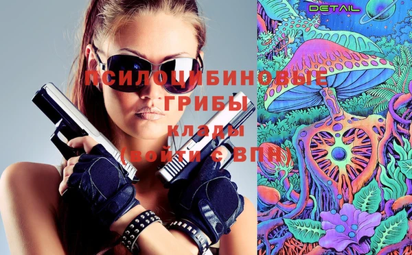 mdpv Бородино