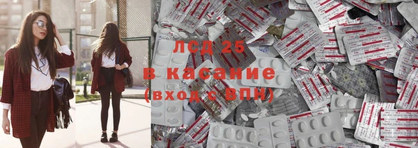 mdpv Бородино