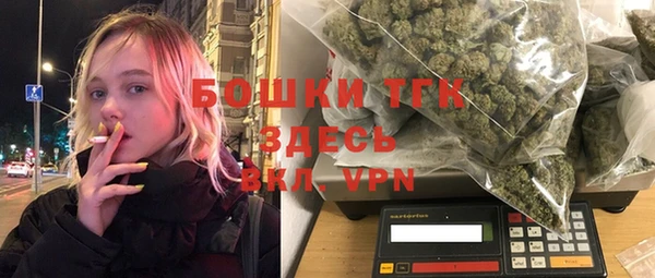 mdpv Бородино